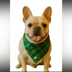 Lands' End Green Plaid Cotton Dog Bandana Scarf Size Medium New